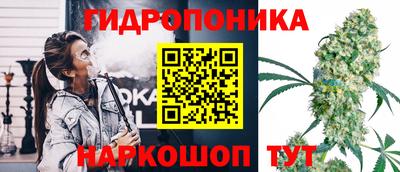 дурь Северобайкальск